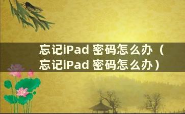 忘记iPad 密码怎么办（忘记iPad 密码怎么办）